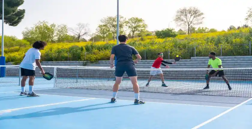 pickleball maintenance services